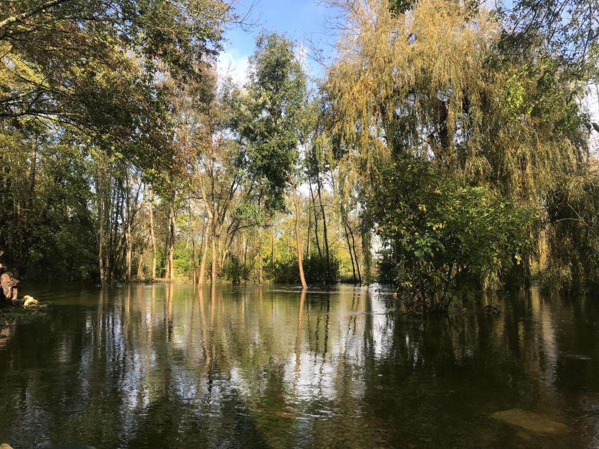 Ancien Moulin A Eau Sur La Seugne Apartman Mosnac  Kültér fotó